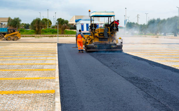 Best Driveway Pavers Near Me  in Walnut Park, CA