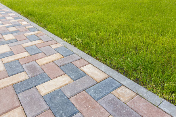 Best Driveway Pavers Near Me  in Walnut Park, CA